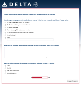 New Delta SkyBonus survey 2015 renes points blog 10000 bonus points (10)