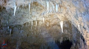 Harrisons Cave Barbados review Renes Points blog (4)