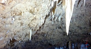 Harrisons Cave Barbados review Renes Points blog (7)