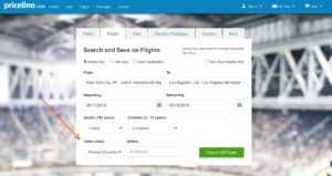 priceline home page flight search