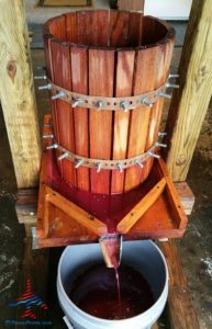 michigan-grapes-for-wine-renespoints-blog-puremichigan-joy-12