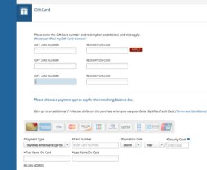 payment-type-on-delta-com