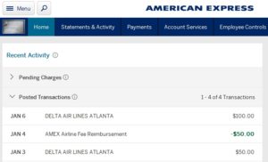 what-can-you-get-credit-for-from-delta-as-travel-egift-card-non-delta-platinum-card-renespoints