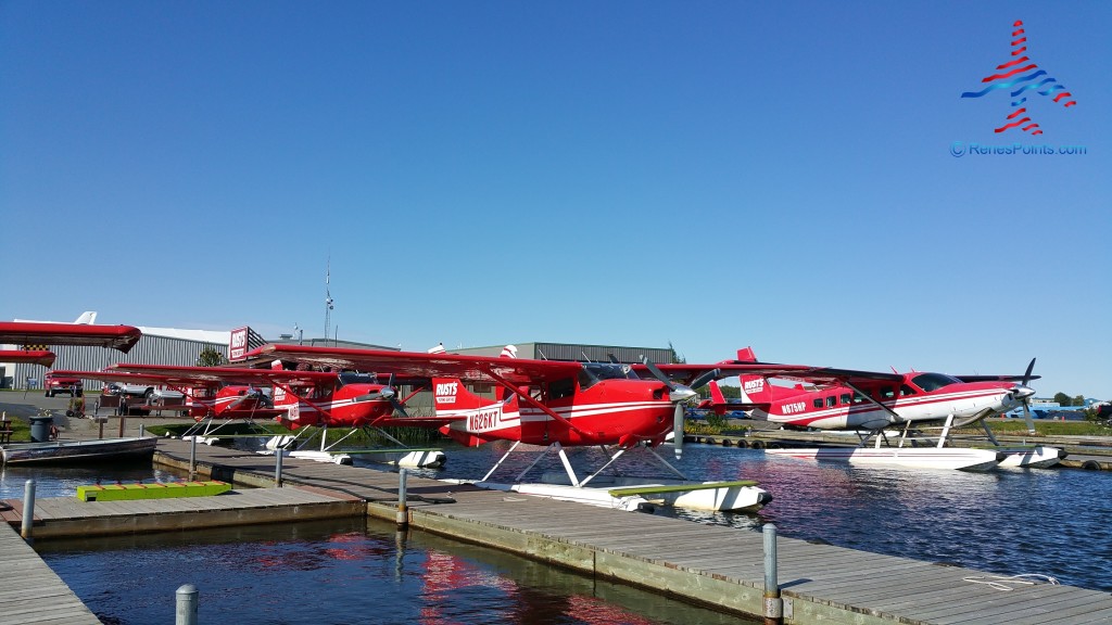 red planes parked on a dock
