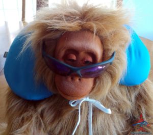 a monkey wearing sunglasses and a blue earmuffs