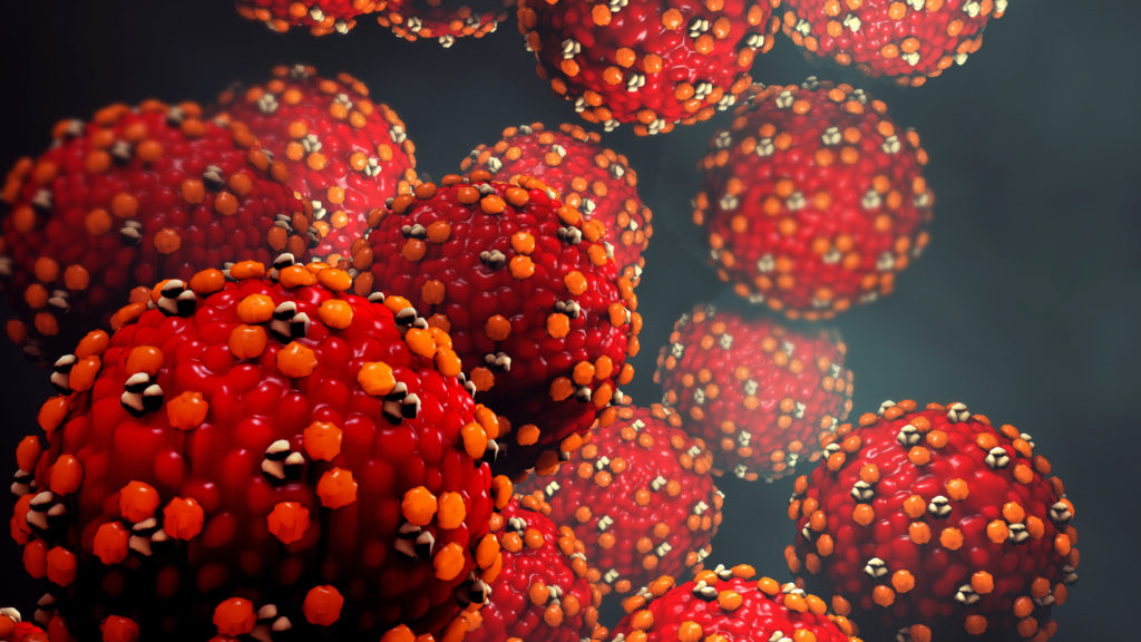 3d illustration Measles virus or virus