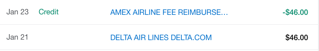 American Express statement credit for a Delta Air Lines Pay with Miles ticket's cash balance payment.